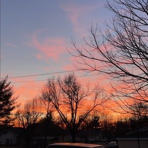 Meet your Posher, Lily